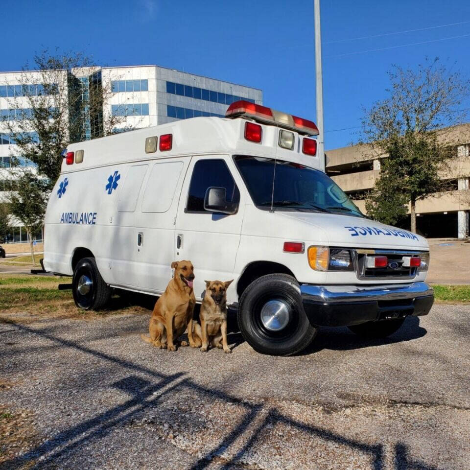 Conversion Van For Sale In Houston, TX