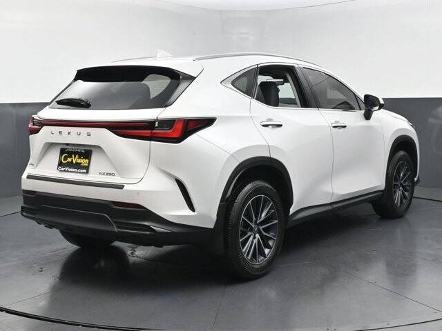 2025 Lexus NX 250