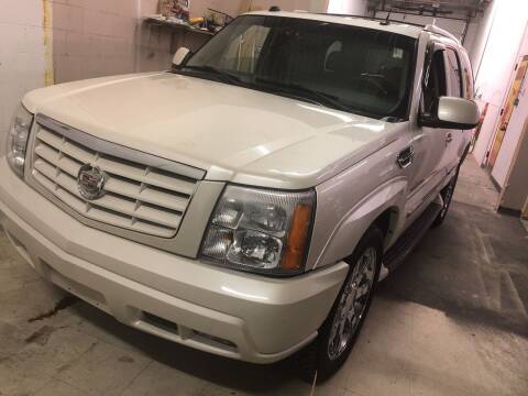 2004 Cadillac Escalade for sale at Cargo Vans of Chicago LLC in Bradley IL