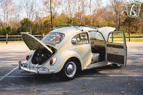 1965 Volkswagen Beetle