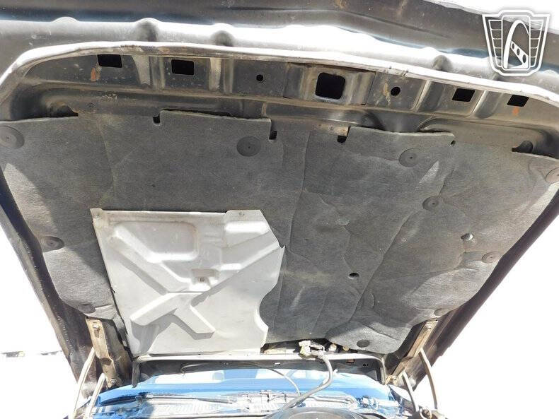 1981 Pontiac Firebird Trans Am