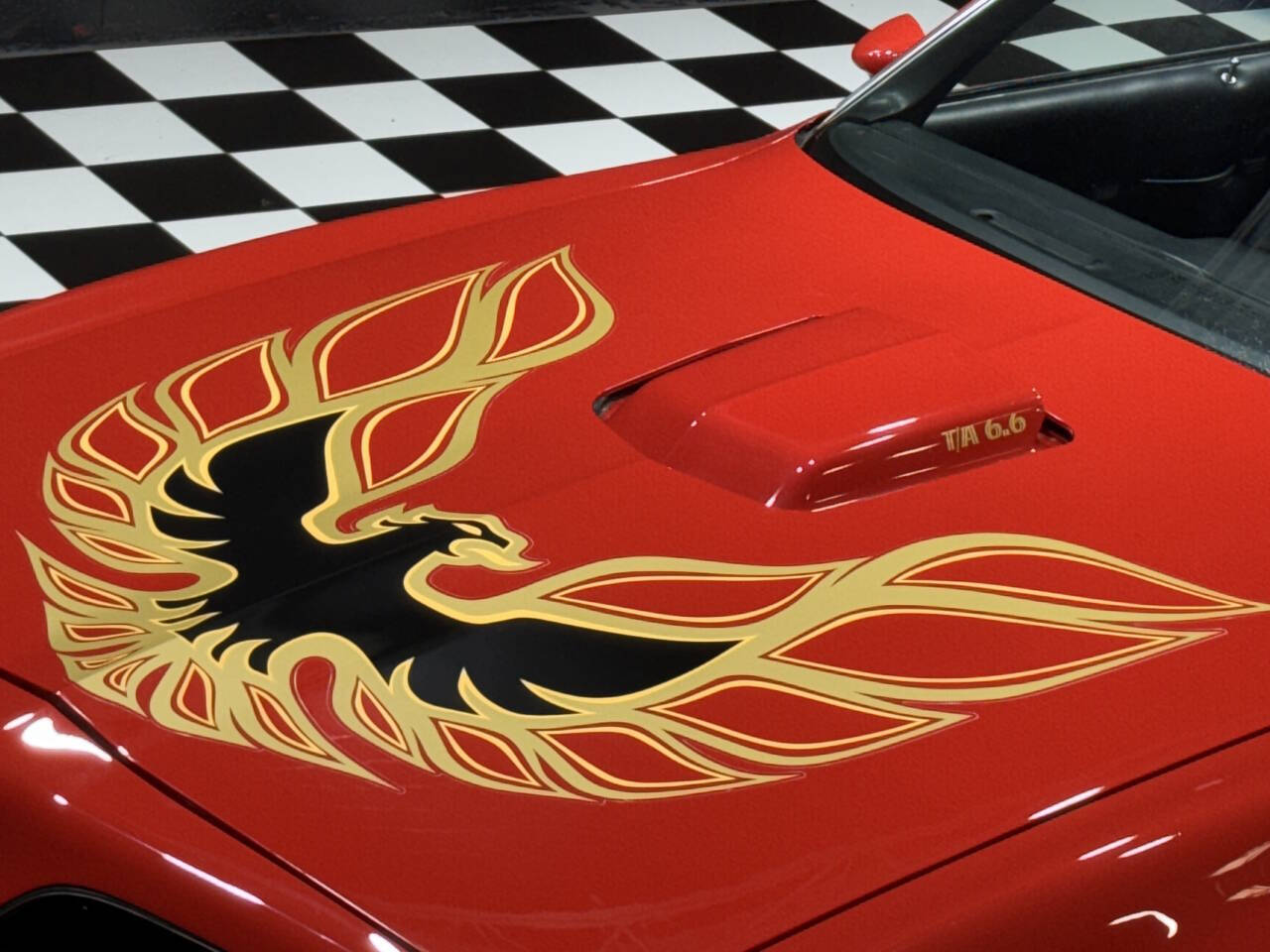 1977 Pontiac Firebird Trans Am 11
