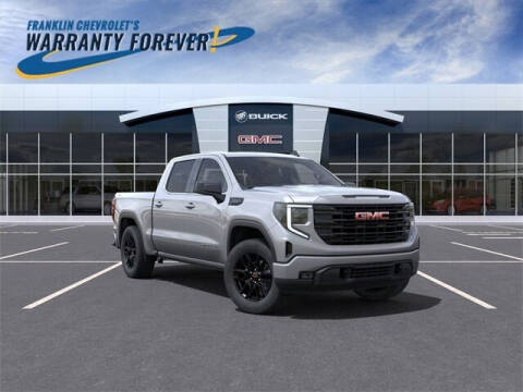 2023 GMC Sierra 1500 for sale at FRANKLIN CHEVROLET CADILLAC in Statesboro GA
