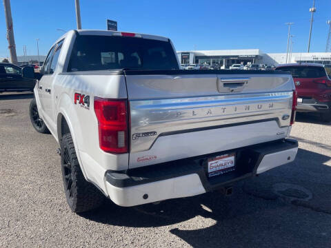 2019 Ford F-150 Platinum