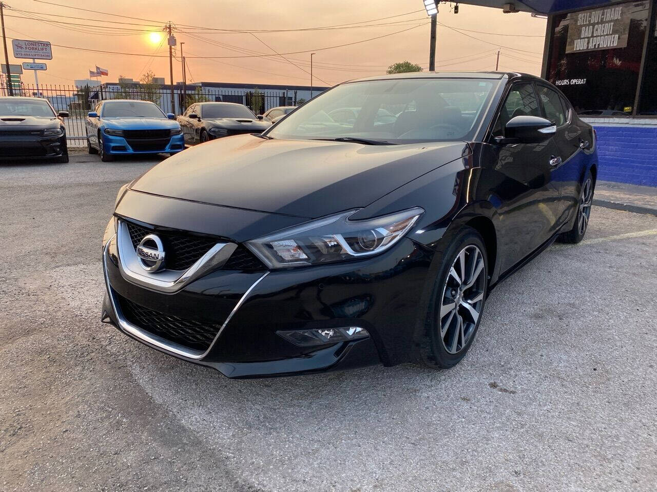 2017 maxima sv for sale