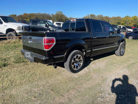 2013 Ford F-150 Platinum
