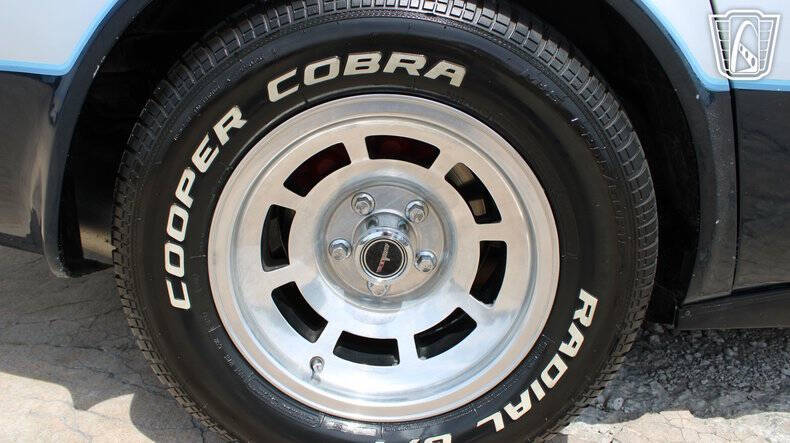 1981 Chevrolet Corvette