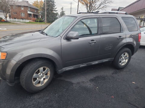 2012 Ford Escape for sale at Maximum Auto Group II INC in Cortland OH