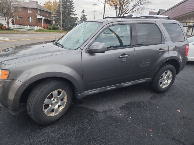 2012 Ford Escape for sale at Maximum Auto Group II INC in Cortland OH