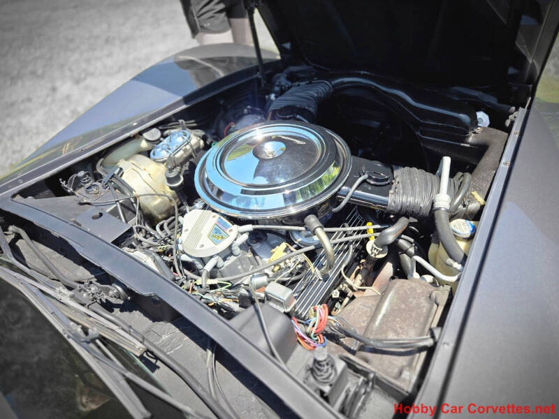1981 Chevrolet Corvette
