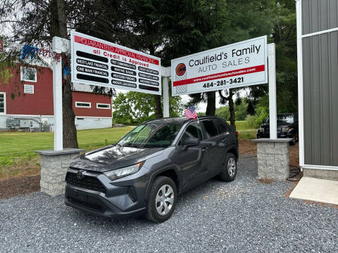 2019 Toyota RAV4 for sale at Caulfields Family Auto Sales in Bath PA