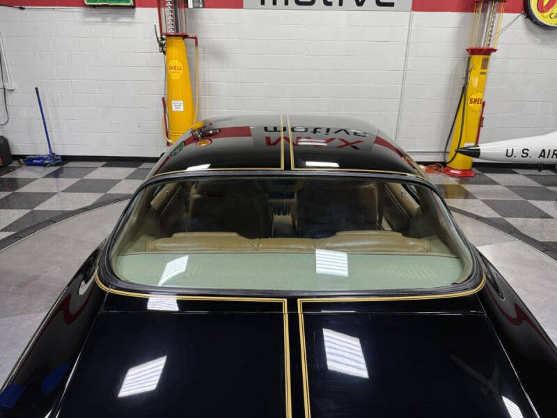 1981 Pontiac Firebird Trans Am