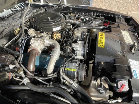 1981 Pontiac Firebird Trans Am