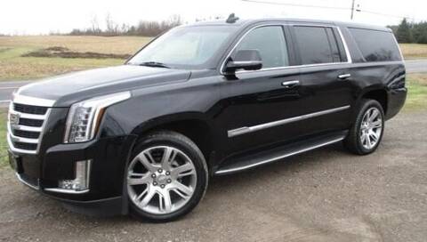 2015 Cadillac Escalade ESV for sale at BSTMotorsales.com in Bellefontaine OH