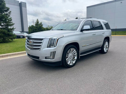 2016 Cadillac Escalade for sale at TOP YIN MOTORS in Mount Prospect IL