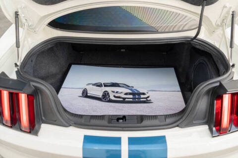 2020 Ford Mustang Shelby GT350R