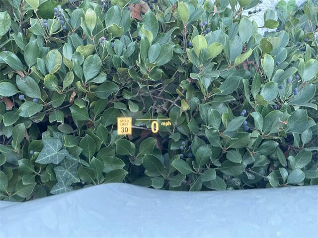 2022 BMW 8 Series M850i xDrive Gran Coupe