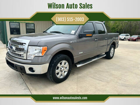 2014 Ford F-150 for sale at Wilson Auto Sales in Chandler TX