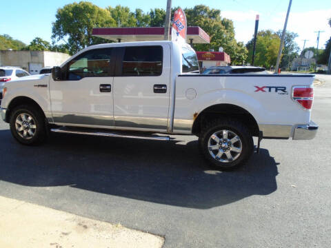 2014 Ford F-150 for sale at Nelson Auto Sales in Toulon IL