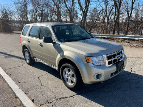 2011 Ford Escape XLS