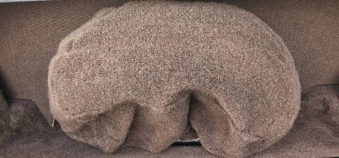 1980 Cadillac Eldorado