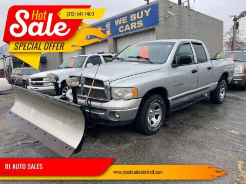 2002 Dodge Ram 1500 for sale at RJ AUTO SALES in Detroit MI