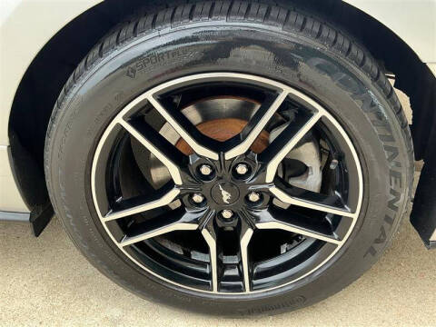 2019 Ford Mustang EcoBoost