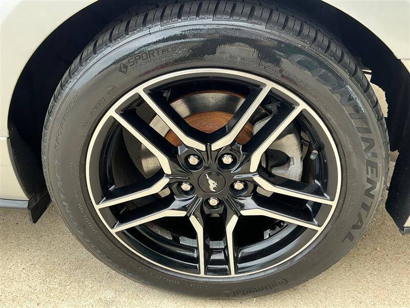 2019 Ford Mustang EcoBoost