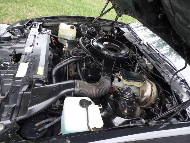 1983 Pontiac Firebird Trans Am