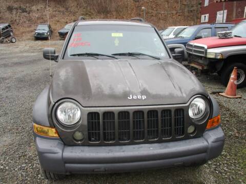 2005 Jeep Liberty for sale at FERNWOOD AUTO SALES in Nicholson PA