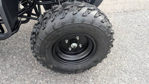 2025 TrailMaster 200 Utility
