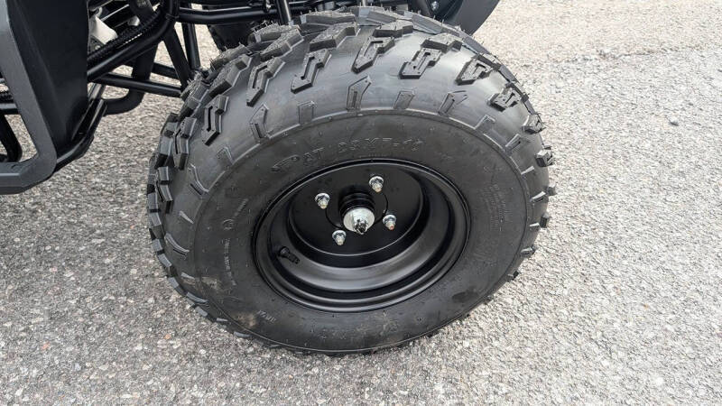 2025 TrailMaster 200 Utility