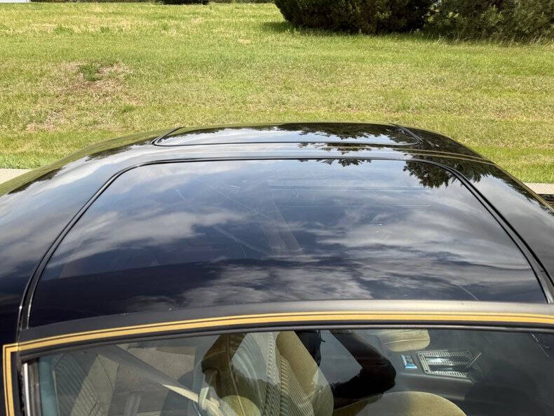 1981 Pontiac Firebird Trans Am