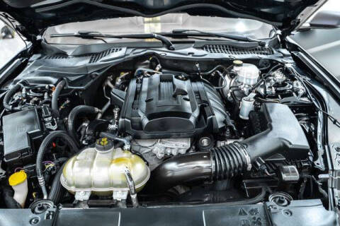 2019 Ford Mustang