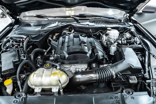 2019 Ford Mustang