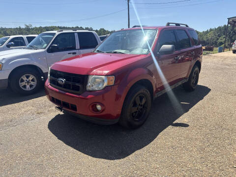 2011 Ford Escape XLT