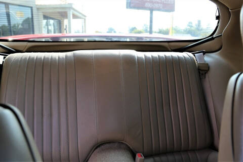 2002 Pontiac Firebird Trans Am