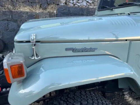 1993 Toyota Land Cruiser