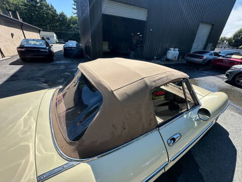 1982 Alfa Romeo Spider Veloce