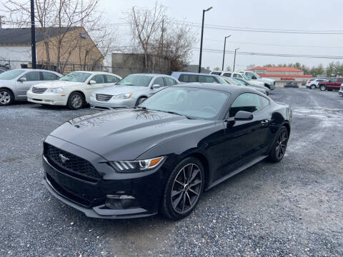 2017 Ford Mustang for sale at Capital Auto Sales in Frederick MD