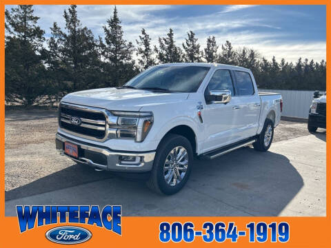 2024 Ford F-150 for sale at Whiteface Ford in Hereford TX