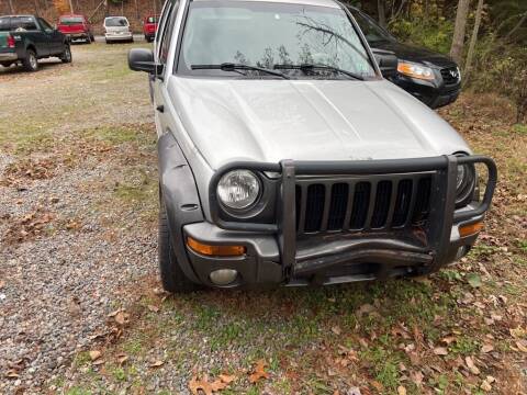 2003 Jeep Liberty for sale at Dirt Cheap Cars in Pottsville PA
