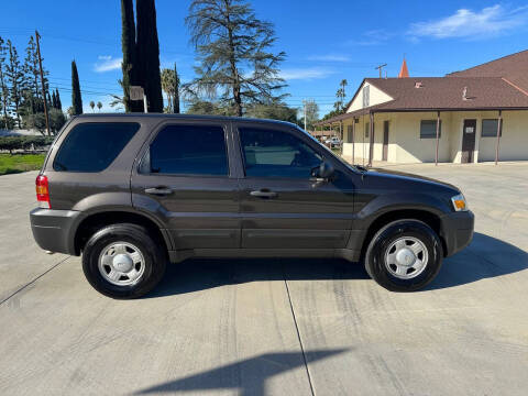 2007 Ford Escape XLS