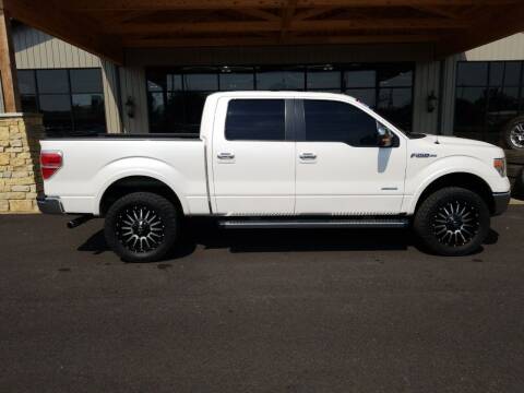 2013 Ford F-150 for sale at Premier Auto Source INC in Terre Haute IN