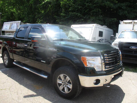 2012 Ford F-150 for sale at Rodger Cahill in Verona PA