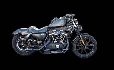 2020 Harley-Davidson Sportster