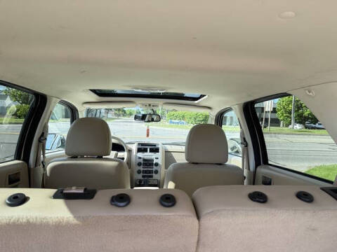 2011 Ford Escape XLT