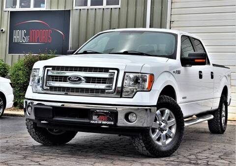 2014 Ford F-150 for sale at Haus of Imports in Lemont IL