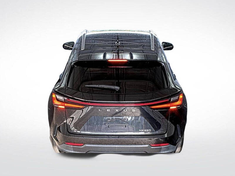 2024 Lexus NX 250 Premium
