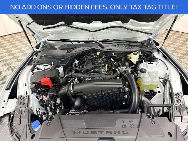 2025 Ford Mustang EcoBoost
